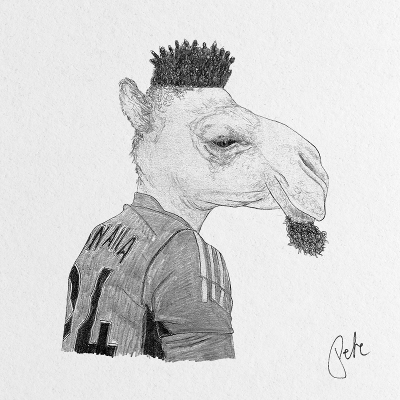 The Dubious Goal Camel (signed print)